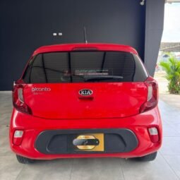 
										Kia Picanto full									