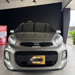 
										Kia Picanto full									