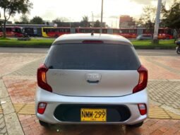 
										Kia Picanto full									