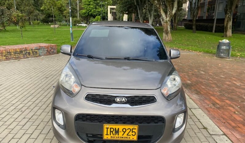 
								Kia Picanto full									