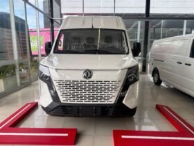 Dongfeng BIG VAN CARGO