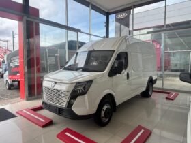 Dongfeng BIG VAN CARGO
