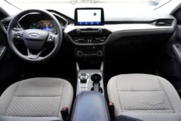 
										Ford Escape full									