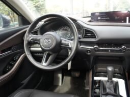
										Mazda CX-30 full									