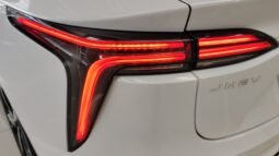 JMEV GSE LUXURY