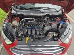 
Ford Ecosport full									