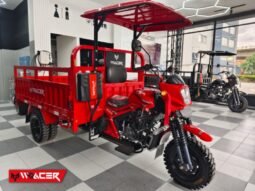 W RACER W300