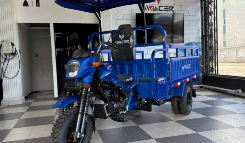 
								W RACER 300 full									