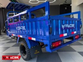 W RACER 300