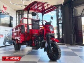 W RACER W300
