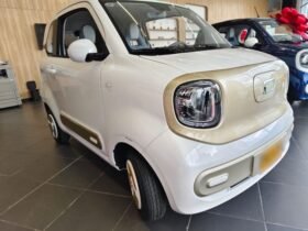 FAW BESTUNE XIAOMA