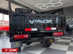 
										W RACER 300 full									