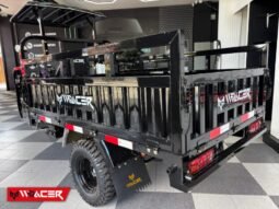 
										W RACER 300 full									