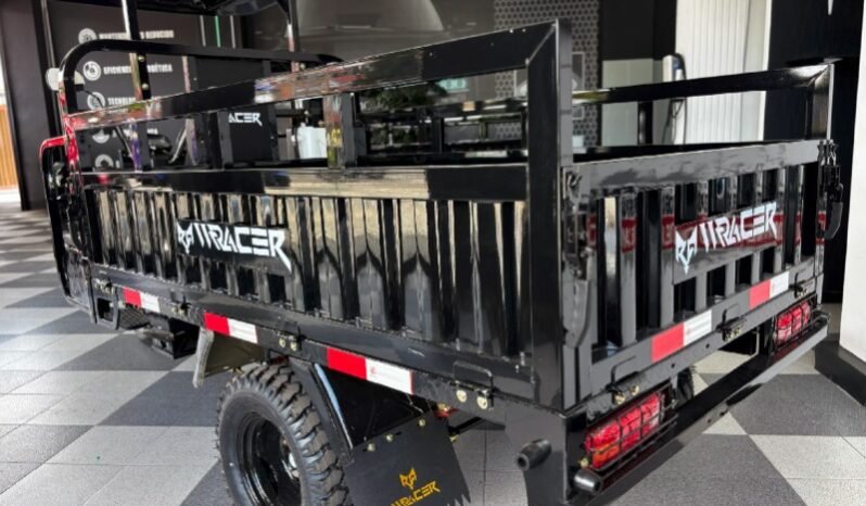 
								W RACER 300 full									