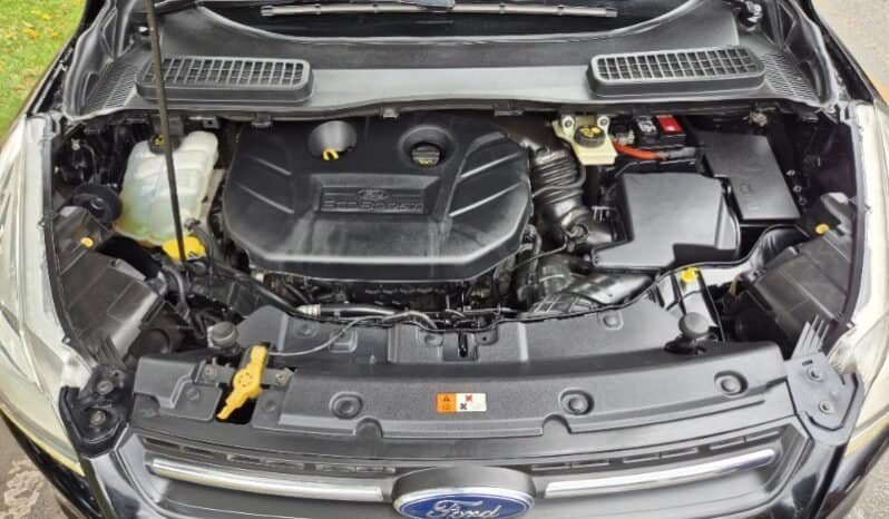 
Ford scape titanium full									