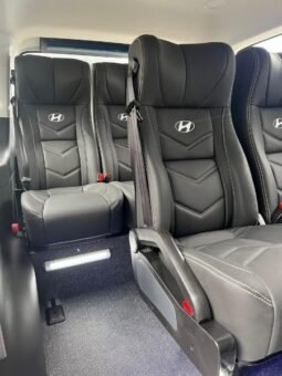 
										Hyundai STARIA PASAJEROS full									