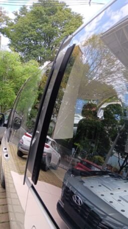 
										Hyundai STARIA PASAJEROS full									