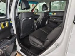 
Hyundai SANTAFE LIMITED 4X4 HEV full									