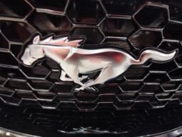 
										Ford Mustang GT 2025 full									