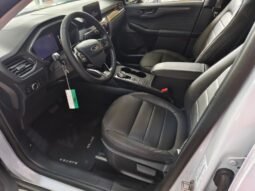 
										Ford escape active full									