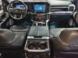 
										Ford F-150 PLATINUM full									