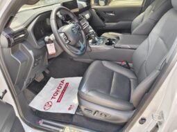 
Toyota Land Cruiser LC 300 full									