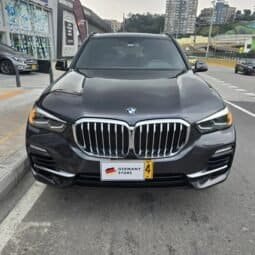 
BMW BMW X5 3.0 Xdrive30d Premium 2020 lleno									